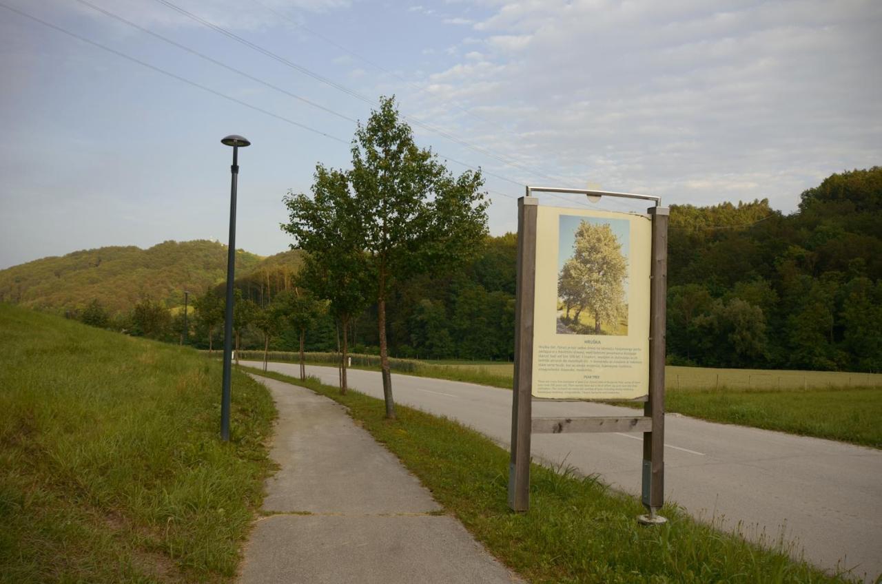 Apartments With Private Saunas & Wellness Gobi Podčetrtek Buitenkant foto